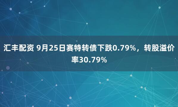 汇丰配资 9月25日赛特转债下跌0.79%，转股溢价率30.79%